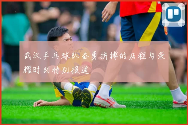 武汉乒乓球队奋勇拼搏的历程与荣耀时刻特别报道