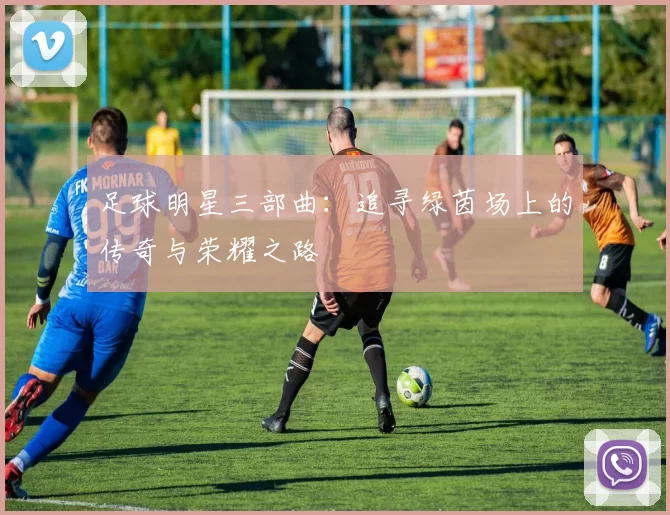 足球明星三部曲：追寻绿茵场上的传奇与荣耀之路