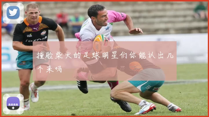 撞脸柴犬的足球明星们你能认出几个来吗