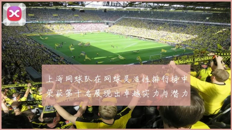 上海网球队在网球灵活性排行榜中荣获第十名展现出卓越实力与潜力