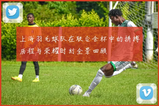 上海羽毛球队在联合会杯中的拼搏历程与荣耀时刻全景回顾