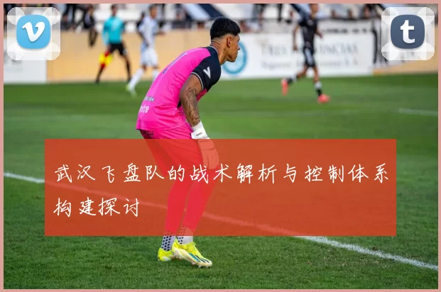 武汉飞盘队的战术解析与控制体系构建探讨