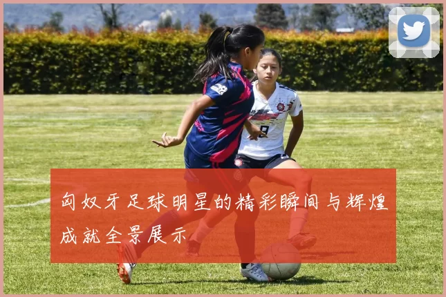 匈奴牙足球明星的精彩瞬间与辉煌成就全景展示