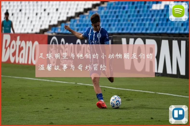 足球明星与他们的小动物朋友们的温馨故事与奇妙冒险