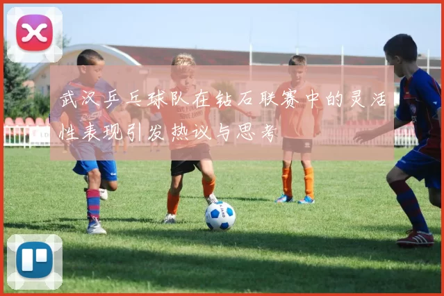 武汉乒乓球队在钻石联赛中的灵活性表现引发热议与思考