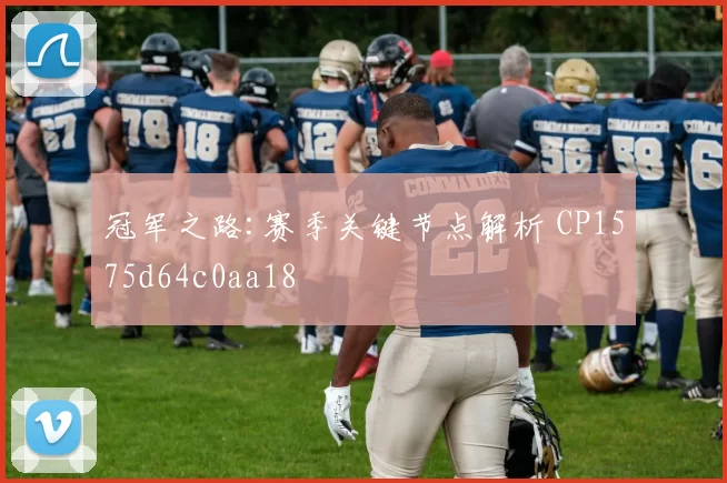 冠军之路:赛季关键节点解析 CP1575d64c0aa18