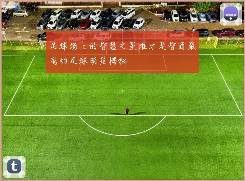 足球场上的智慧之星谁才是智商最高的足球明星揭秘