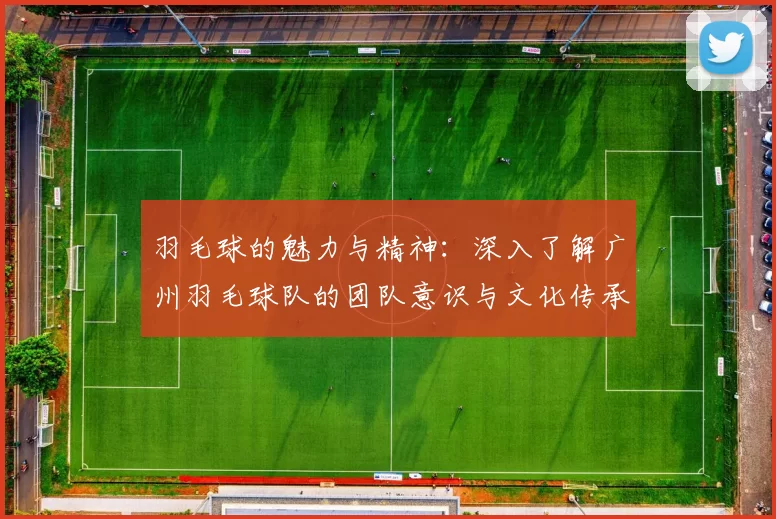 羽毛球的魅力与精神：深入了解广州羽毛球队的团队意识与文化传承