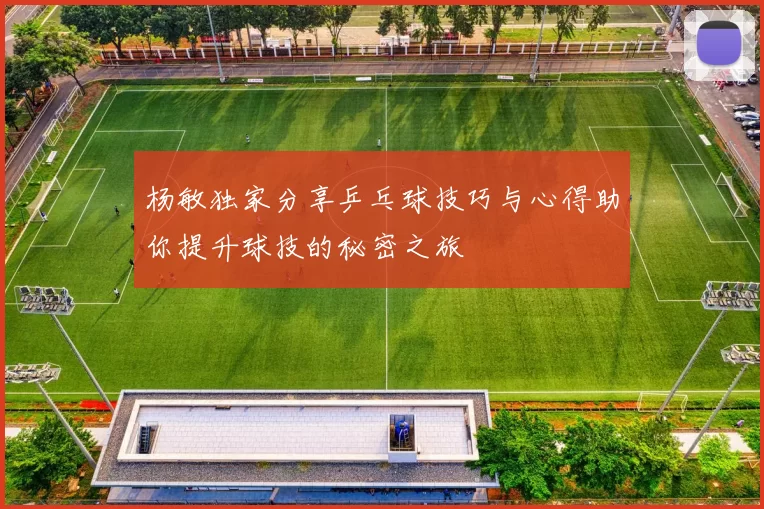 杨敏独家分享乒乓球技巧与心得助你提升球技的秘密之旅