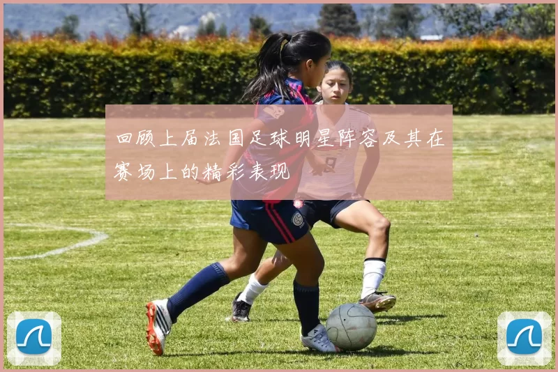 回顾上届法国足球明星阵容及其在赛场上的精彩表现