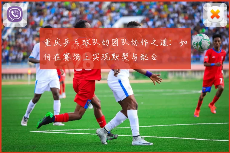 重庆乒乓球队的团队协作之道：如何在赛场上实现默契与配合