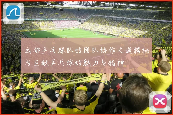成都乒乓球队的团队协作之道揭秘与巨献乒乓球的魅力与精神