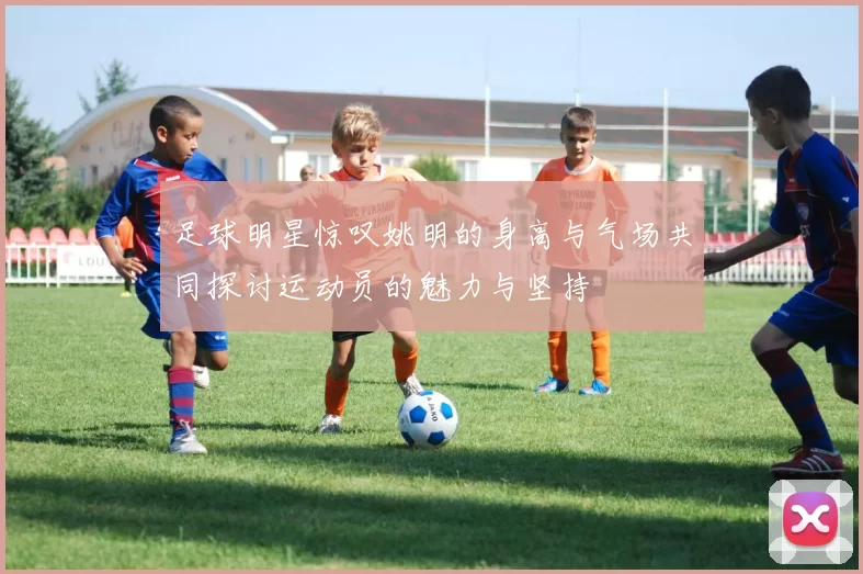 足球明星惊叹姚明的身高与气场共同探讨运动员的魅力与坚持