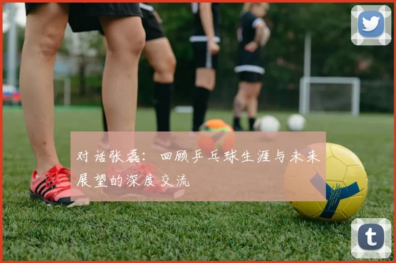 对话张磊：回顾乒乓球生涯与未来展望的深度交流