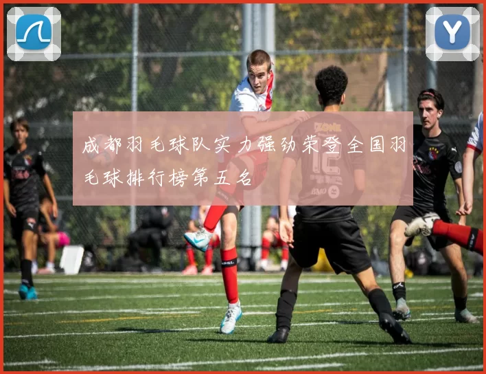 成都羽毛球队实力强劲荣登全国羽毛球排行榜第五名