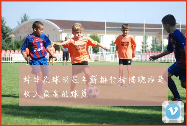 蚌埠足球明星年薪排行榜揭晓谁是收入最高的球员