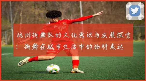 杭州街舞队的文化意识与发展探索：街舞在城市生活中的独特表达