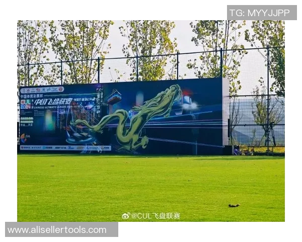 飞盘战术解析：杭州飞盘队如何利用边路渗透提升比赛优势