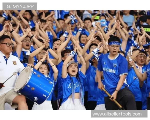 南京排球队团队协作引发热议球迷对战术配合和默契度的看法各异