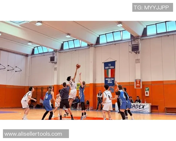 南京篮球队反击战术深度分析与实战应用探讨